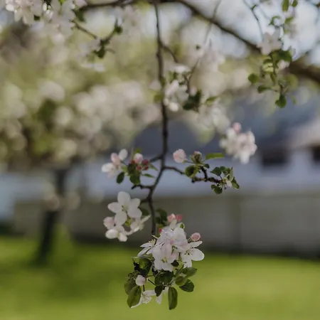 Horská chata Im Obstgarten