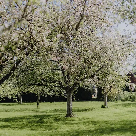 Σαλέ Im Obstgarten Lengau