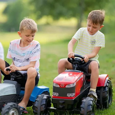 Chalet Im Obstgarten Lengau