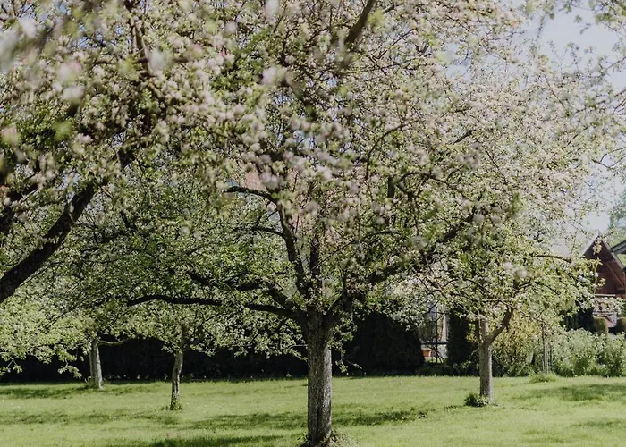 Σαλέ Im Obstgarten Lengau