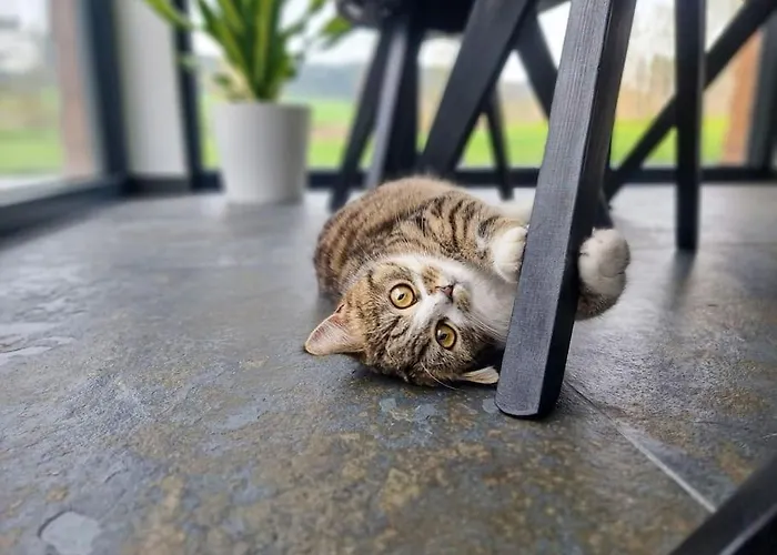 Im Obstgarten Σαλέ